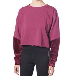 Splendid maroon velvet cropped sweatshirt